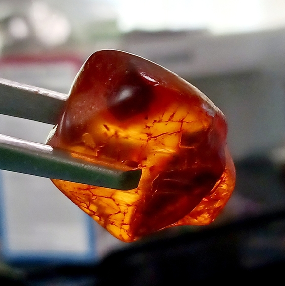 Baltic amber, incased  flying insect , rare & Unique Beautiful shape and colors - Picture 8 of 8